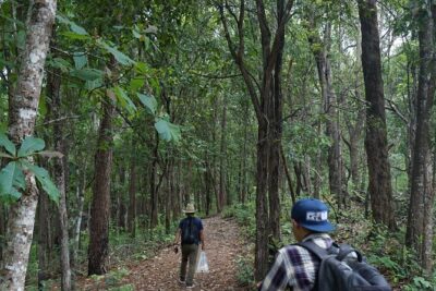 Chiang Mai Trekking Tour :Full day (no rafting) - Elephant Pride Sanctuary: feeding, bonding, and learning in one visit
