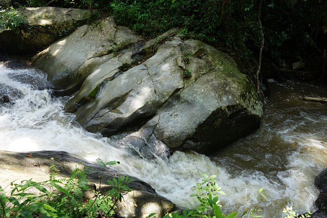 Chiang Mai Trekking Tour :Full day (no rafting) - Group size and pacing: why max 9 travelers changes the feel