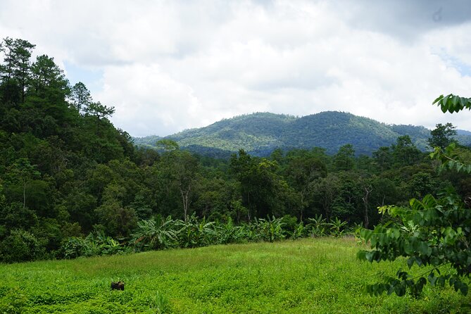 Chiang Mai Trekking Tour :Full day (no rafting) - Price and value: what $64.53 buys you in a full-day plan
