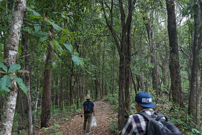 Chiang Mai Trekking Tour :Full day (no rafting) - Elephant Pride Sanctuary: feeding, bonding, and learning in one visit