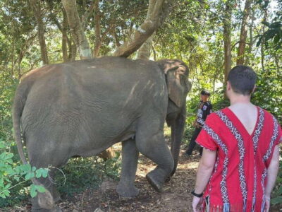Chiang Mai Untouched Elephant: Nature Walk & Waterfall Trek - Getting from Chiang Mai: the ride matters more than you think