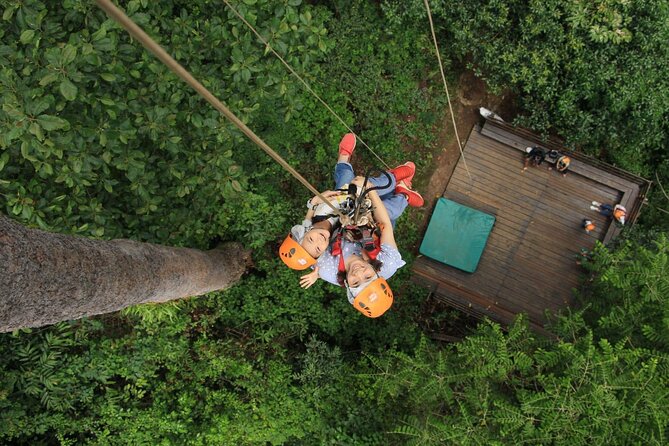 Chiang Mai Zip Line Experience - Mae Rim Canopy Course: What Your 90 Minutes Feels Like