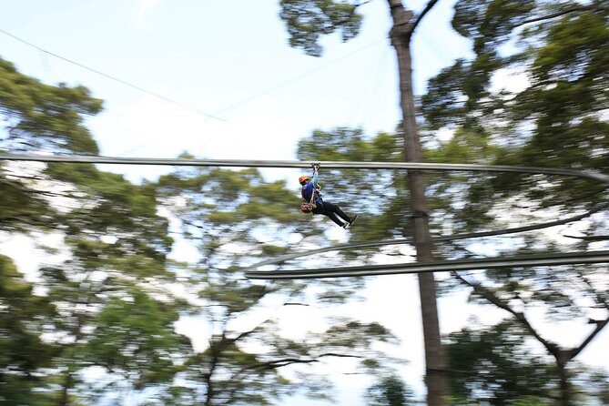 Chiang Mai Zip Line Experience - Who This Fits Best (And Who Might Want Another Plan)