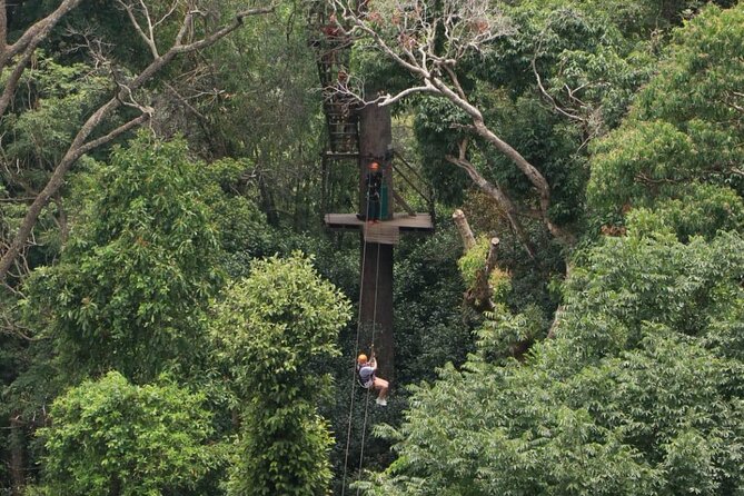 Chiang Mai Zip Line Experience - Price and Value: What $59.90 Really Buys You