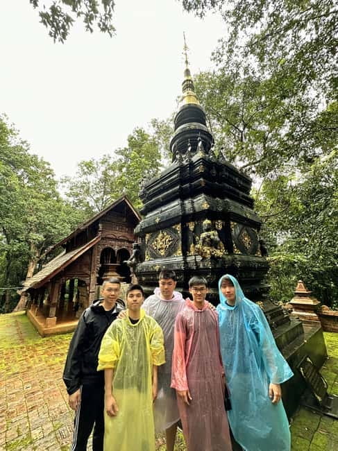 Chiangmai : Doi Inthanon unseen spot , Rice terrace & temple - Rice Terraces Panorama: The Color Show (July to October)