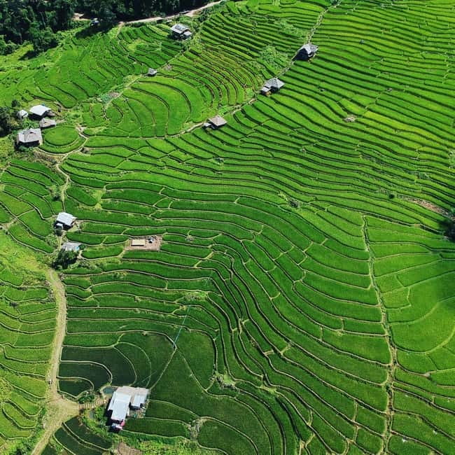 Chiangmai : Doi Inthanon unseen spot , Rice terrace & temple - Wat Pgageyo Ram: A Hidden Temple Feel in the Mountains