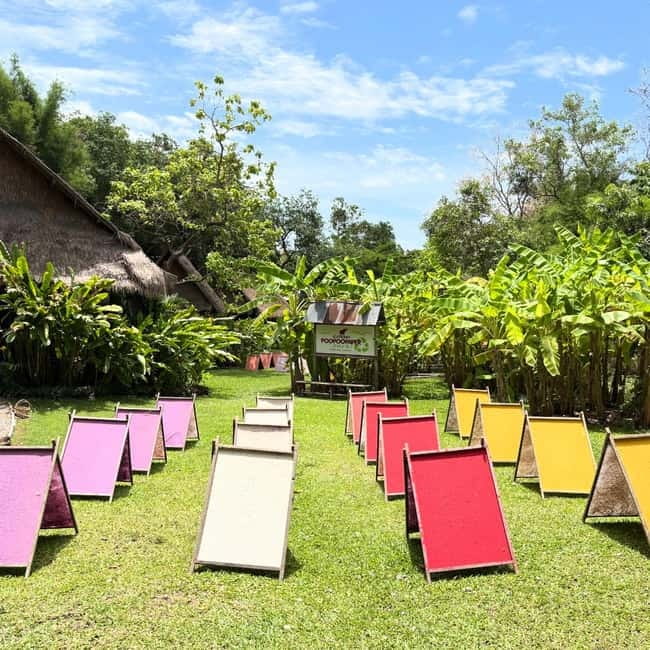 ChiangMai Elephant POOPOOPAPER Park Optional StickyWaterfall - Sticky Waterfall (Bua Tong) add-on: how to pair it with your paper session