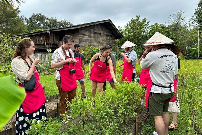 Cooking Class with Organic Farm in Chiang Mai - Key highlights you will care about