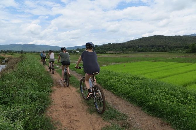 Cycling tour and Buatong waterfall - Price and Value: Is $81 a Smart Deal?