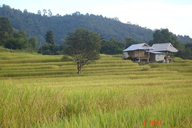 Doi Inthanon National park and 2 hours hiking with private tour - Why Doi Inthanon Feels Different Than Other Chiang Mai Days