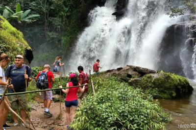 Doi Inthanon National park and 2 hours hiking with private tour - Morning: Thai Market Life and Wachiratan Waterfall