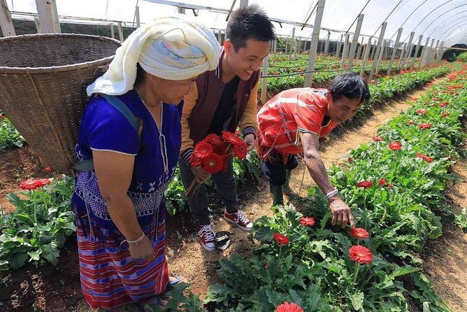 Doi Inthanon National Park Full Day Tour from Chiang Mai - Ban Mae Klang Luang village: coffee and rice views, not a long visit