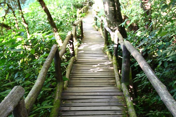 Doi Inthanon National Park including Lunch from Chiang Mai - Vachiratharn Waterfall: The Best “Exhale” Moment of the Day
