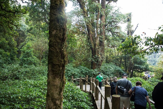 Doi Inthanon National Park Private Tour – Full Day - Doi Inthanon feels a world away from Chiang Mai