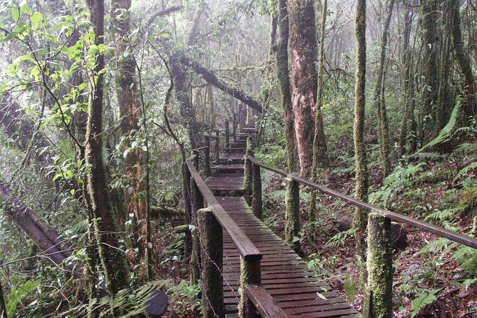 Doi Inthanon National Park - Thailand's Highest Peak - Price and value: why the $115.33 cost can make sense
