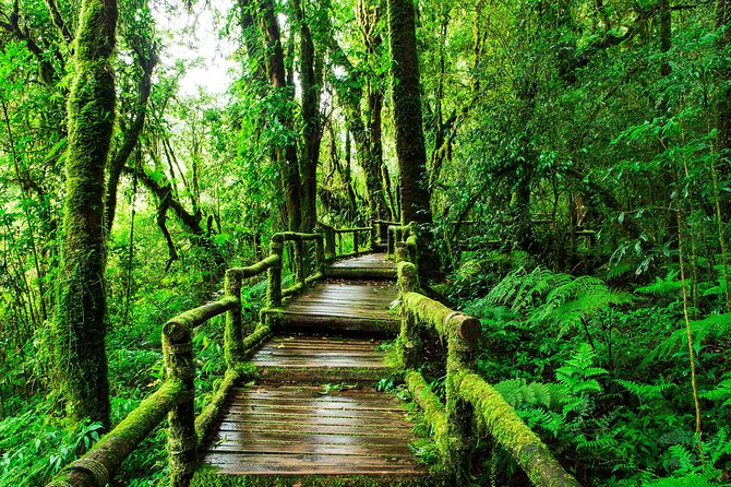 Doi Inthanon National Park - Thailand's Highest Peak - Wat Phra That Si Chom Thong: royal temple energy with workable time