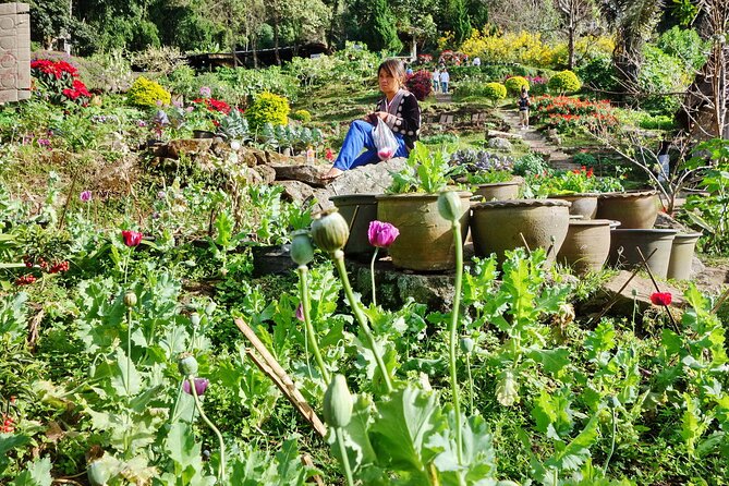 Doi Suthep and Hmong Hilltribe Half Day Tour in Chiang Mai - Guides and Drivers: The Small Details That Control Your Day