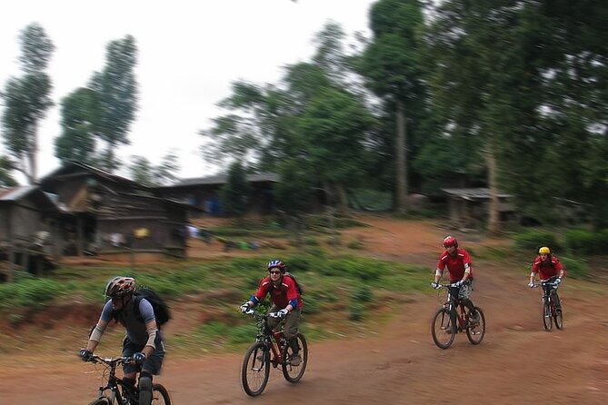 Doi Suthep National Park To Chiang Mai Beginner Downhill Mountain Biking - Should you book the Doi Suthep beginner downhill bike tour?
