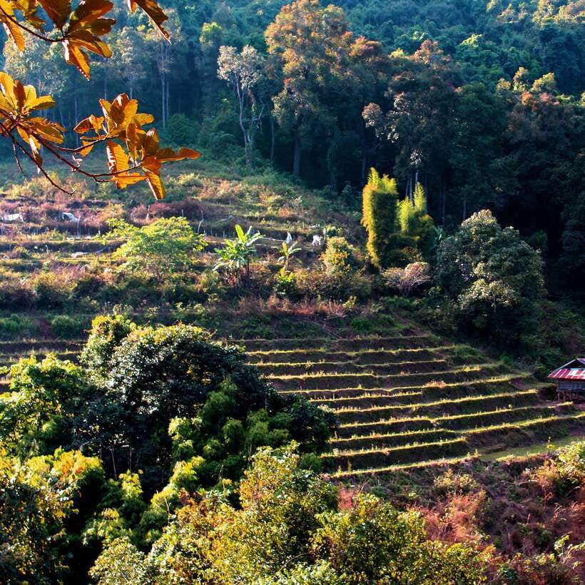 Eco-Friendly: Doi Inthanon & Pha Dok Siew Trekking Day Trip - Key Things You’ll Notice on This Eco-Friendly Doi Inthanon Trek