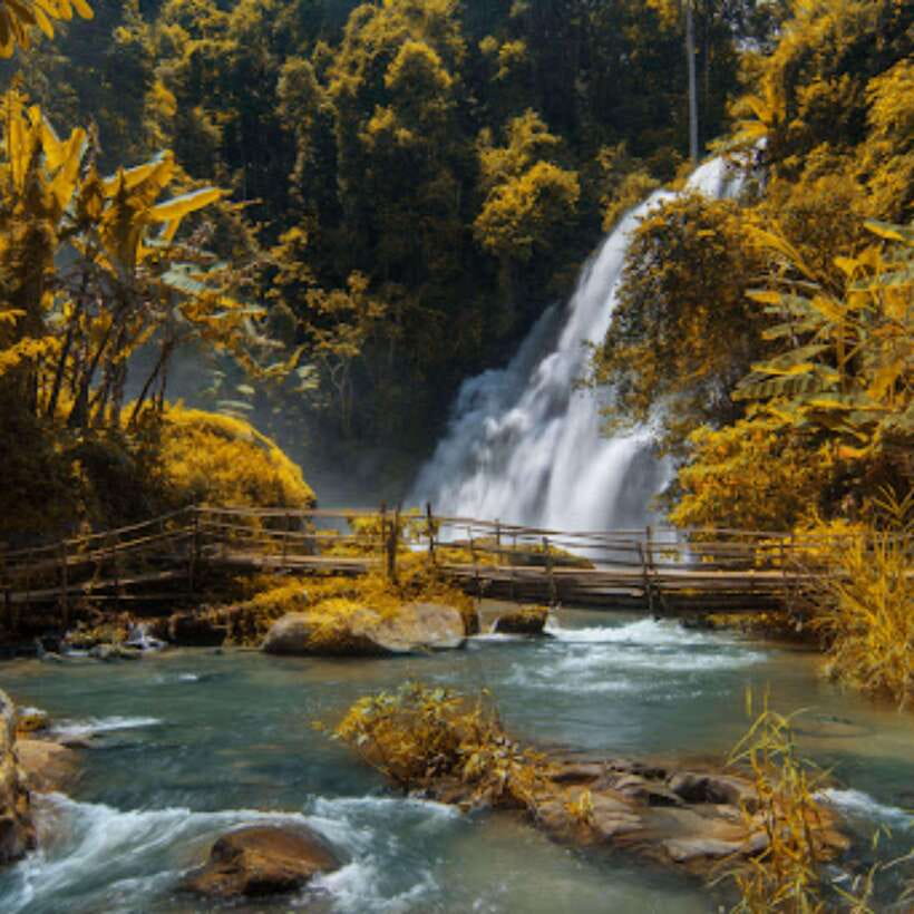 Eco-Friendly: Doi Inthanon & Pha Dok Siew Trekking Day Trip - Pha Dok Siew Nature Trail: A Short Trek With Real Footwork Needed