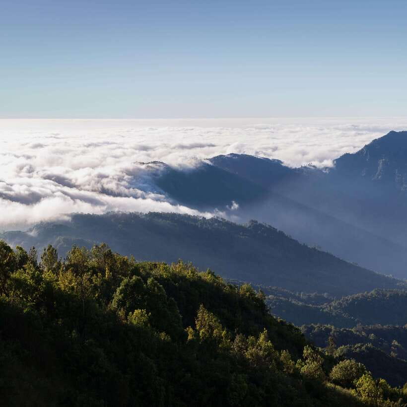 Eco-Friendly: Doi Inthanon & Pha Dok Siew Trekking Day Trip - Mae Klang Luang: White Karen Hill Tribe Village and Coffee Roasting