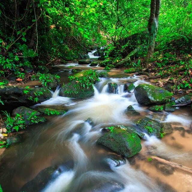 Eco-Friendly: Doi Inthanon & Pha Dok Siew Trekking Day Trip - Price and Value: What $54 Covers (and What’s Extra)