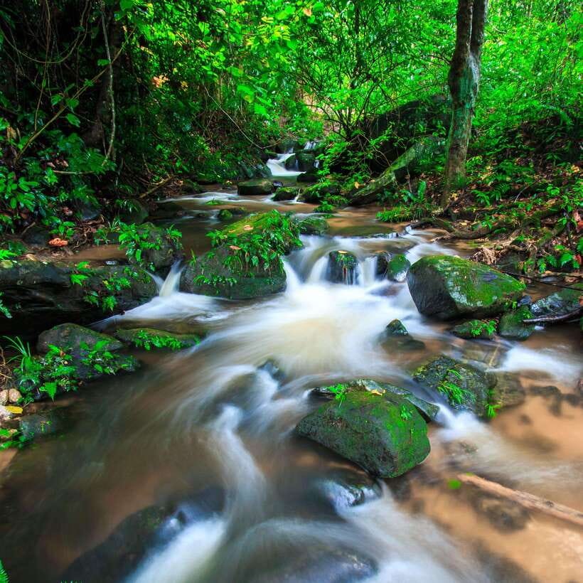 Eco-Friendly: Doi Inthanon & Pha Dok Siew Trekking Day Trip - Highest-Peak Stop and the King-and-Queen Pagodas