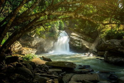 Elephant Sanctuary + Waterfall + Bamboo Rafting One Day Trip - Elephant Sanctuary: feeding and calm, close interaction (the main draw)