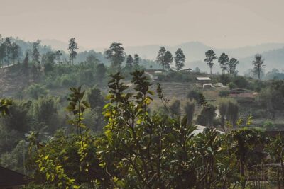 Elephant Sightings , Bamboo Rafting Through The Jungle, Swimming In a Waterfall - Bamboo rafting in Mae Wang National Park: the hands-on part
