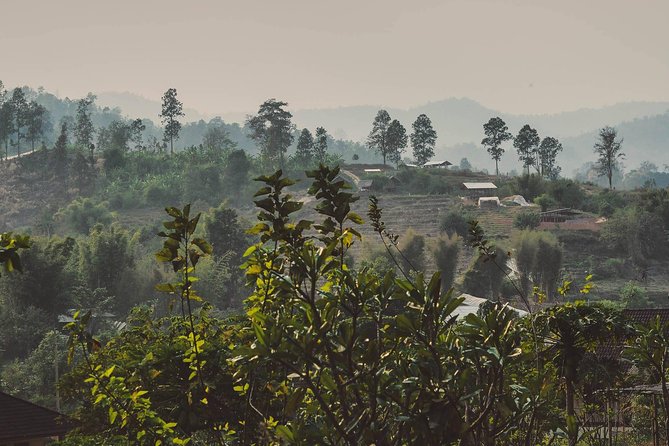 Elephant Sightings , Bamboo Rafting Through The Jungle, Swimming In a Waterfall - Bamboo rafting in Mae Wang National Park: the hands-on part