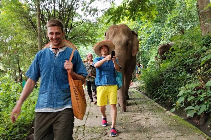 Ethical Elephant Visit and White Water Rafting in Chiang Mai - The In-Between Break: Thai Lunch at a Local Family-Run Restaurant