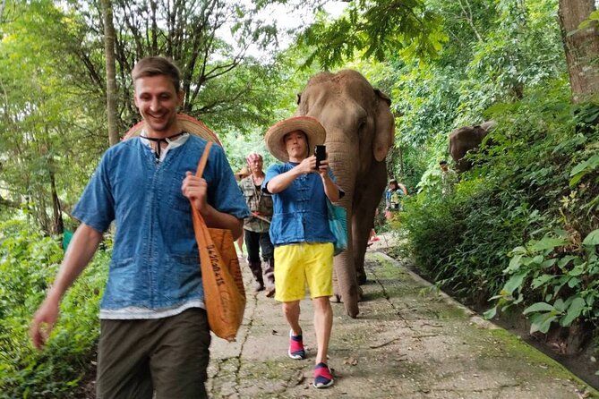Ethical Elephant Visit and White Water Rafting in Chiang Mai - Price and Value: What You’re Really Paying For ($58.67)