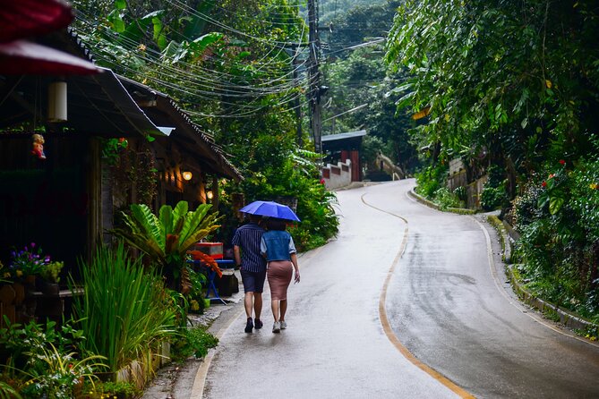 Explore Mae Kampong Village from Chiang Mai City - Mae Kampong Village day trip: what you’re really buying