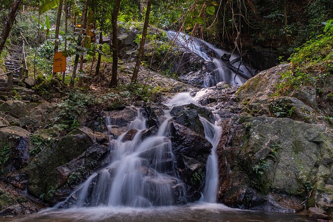Explore Mae Kampong Village from Chiang Mai City - Getting there from Chiang Mai: private pickup, an 8-hour plan
