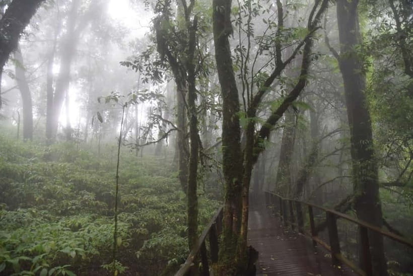 From Chiang Mai: Doi Inthanon National Park Day Trip - Chiang Mai Morning To 2,565 Meters: The Big Climb