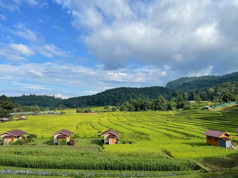 From Chiang Mai: Doi Inthanon National Park Day Trip - Price and Value: Why About $61 Can Make Sense