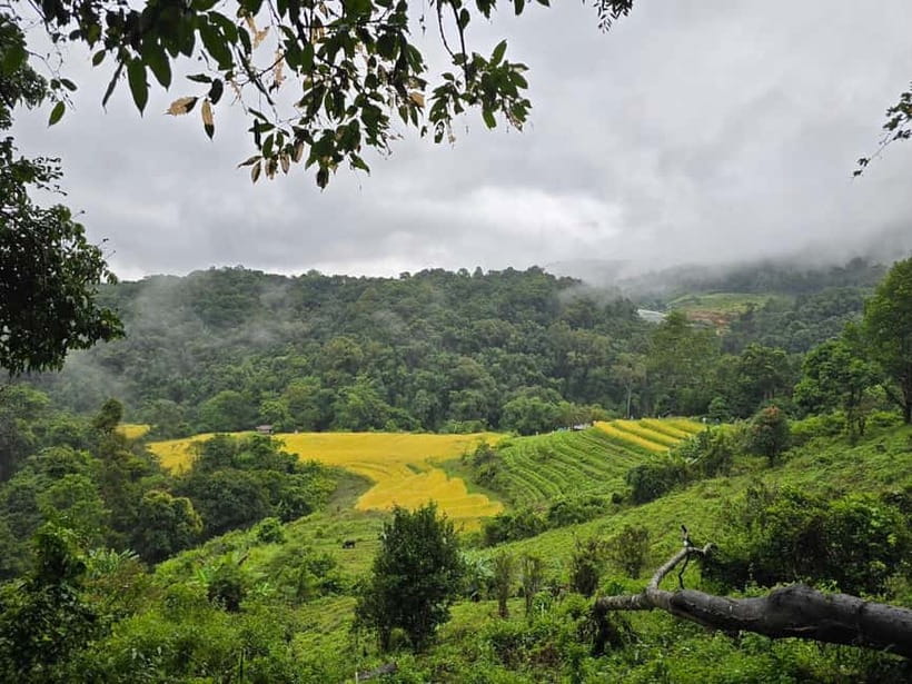 From Chiang Mai: Doi Inthanon National Park Day Trip - Practical Tips: What to Bring and How to Stay Comfortable