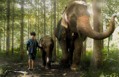 From Chiang Mai: Kerchor Eco Elephant Park Tour - Kerchor orientation: the conservation talk that sets the tone