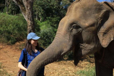 From Chiang Mai: Living Green Elephant Sanctuary Tour - The ride out of Chiang Mai: rural views plus real arrival time