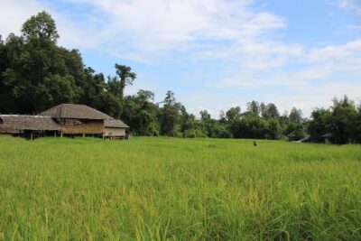 Fruiful Oneday! Trip outskirt of a City from end to end - Mon Jam: panoramic mountain views without paying at the gate