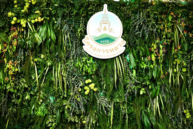 Full-Day Doi Inthanon Nature Tour from Chiang Mai - Practical tips so your day feels easy