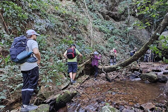 Full Day Doi Saket Hiking Tour - Key Highlights Worth Your Time