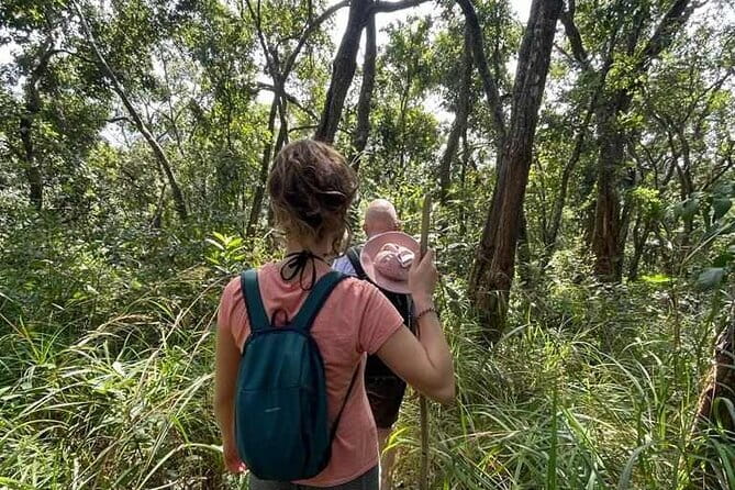 Full Day Doi Saket Hiking Tour - Afternoon on the move: bamboo sections and more forest time