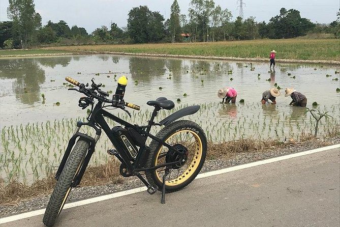 Full-day E-bike Countryside and Nam Phrae (flat-hilly, GUIDED) - The Morning Plan: Pickup, Briefing, and Wat Ton Kwen (Wat Intharawat)