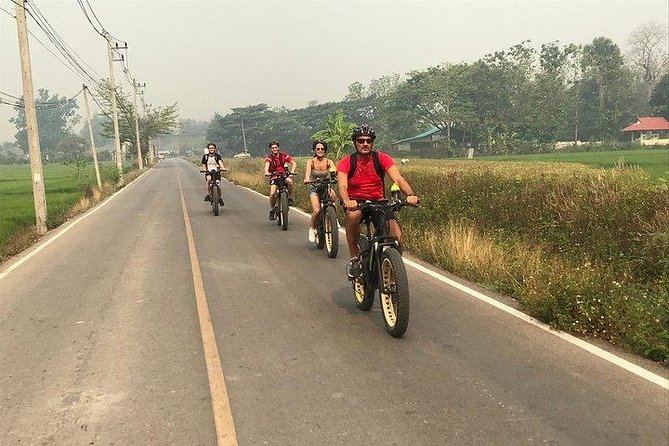 Full-day E-bike Countryside and Nam Phrae (flat-hilly, GUIDED) - Riding Through Rice Fields, Orchards, and Ping River Views