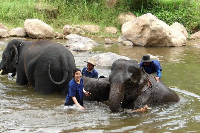 Full Day Elephant Bathing and Bamboo Rafting Tour in Chiang Mai - Mae Taman Elephant Camp: Bathing, Mahouts, and Properly Messy Fun