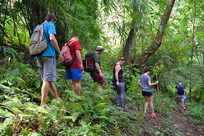 Full-Day Hike and Bike Tour from Chiang Mai - Key things to know before you go