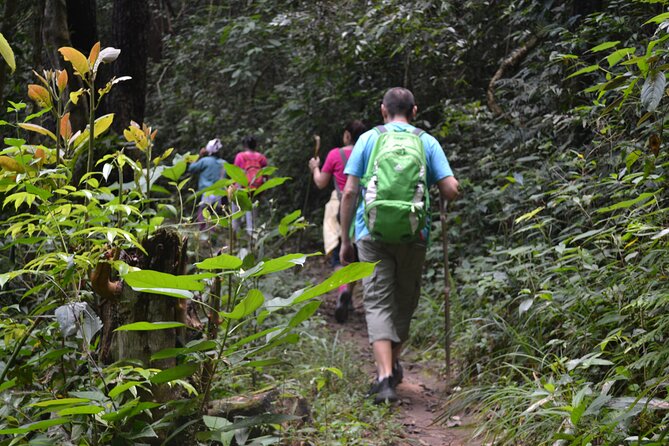 Full-Day Hike and Bike Tour from Chiang Mai - Getting picked up in Chiang Mai without wasting the morning
