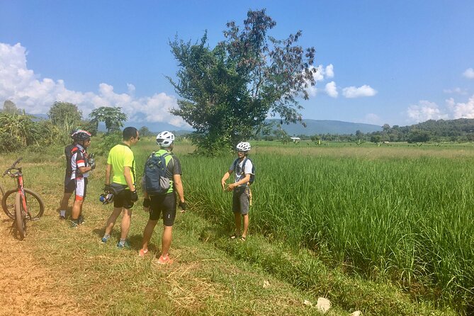 Full-Day Hike and Bike Tour from Chiang Mai - The morning hike: rice paddies, hill tribe villages, and rainforest-style paths