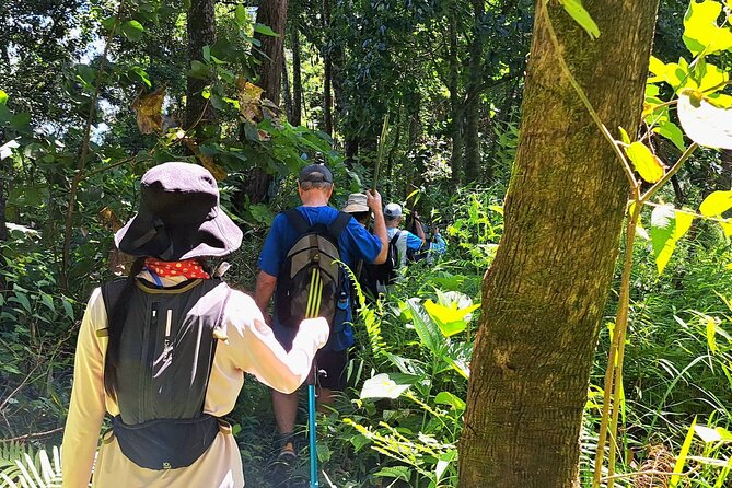 Full-Day Hike and Bike Tour from Chiang Mai - Waterfall lunch: Thai food, picnic vibes, and a much-needed reset